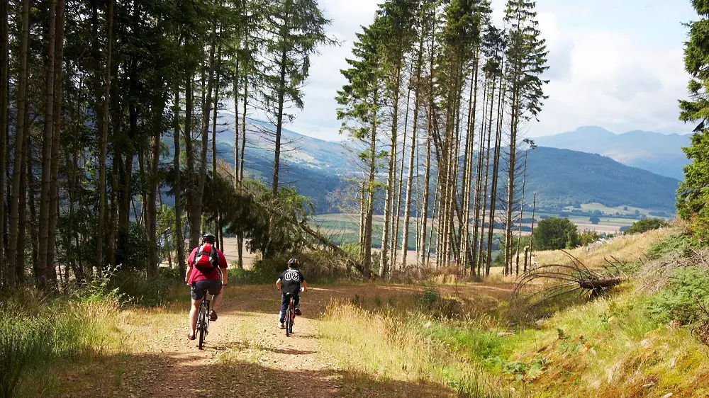 Highland Safaris Highland Safaris