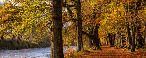 Lady Mary's Walk Lady Mary's Walk