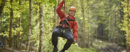 Aloft! treetops Aloft! treetops