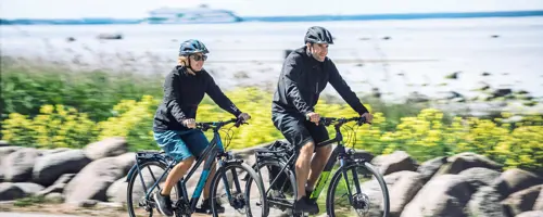 E-bike Glencoe E-bike Glencoe