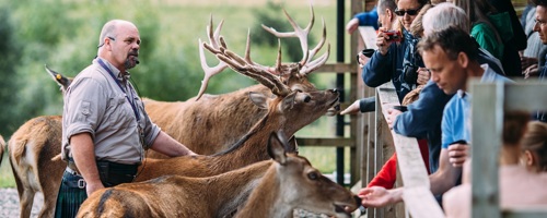 Highland Safaris Highland Safaris